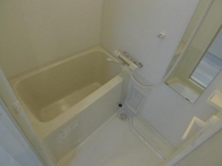 浴室乾燥機、シャワー付きバスルーム